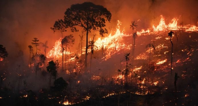 Lula anuncia criação de autoridade climática em meio a incêndios