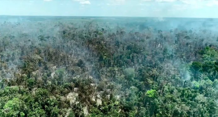 PM2.5, CO, VOC e NOx: o que há na fumaça tóxica dos incêndios florestais e por que ela é prejudicial ao nosso corpo