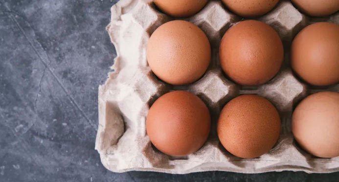 O consumo de ovos pode ajudar a melhorar a memória, indica pesquisa