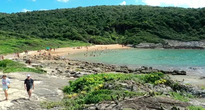 Guarapari, a capital da biodiversidade marinha