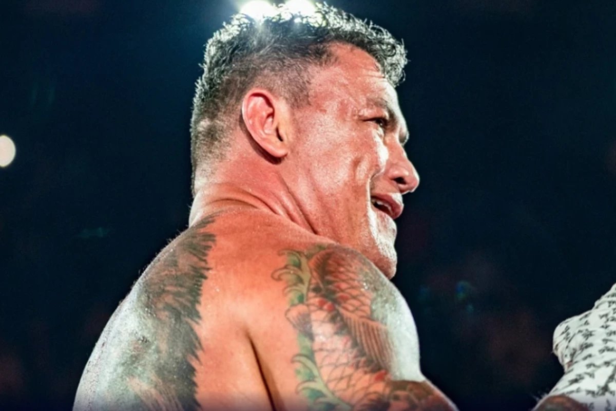 'a única luta que farei'