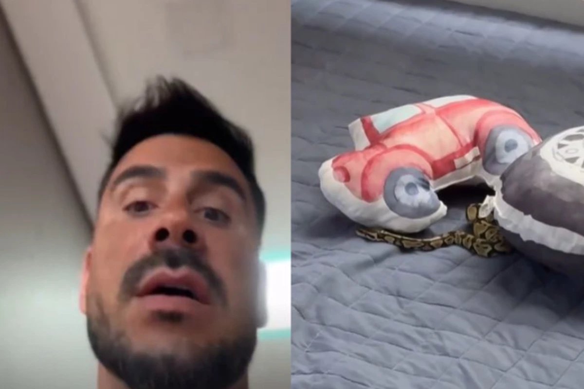 Julio Rocha vive momentos angustiantes quando pega cobra na cama dos filhos e corre para evitar o pior