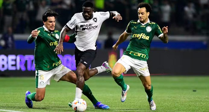 Palmeiras e Botafogo disputam a liderança do Campeonato Brasileiro