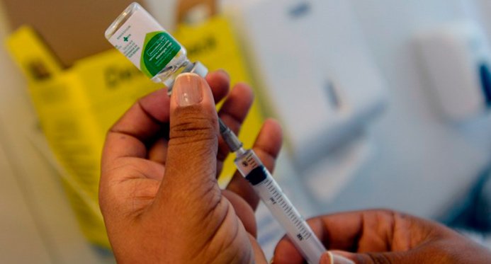 O ES recebe doses de influenza e vacina municipal pode iniciar a nova estratégia de imunização de rotina