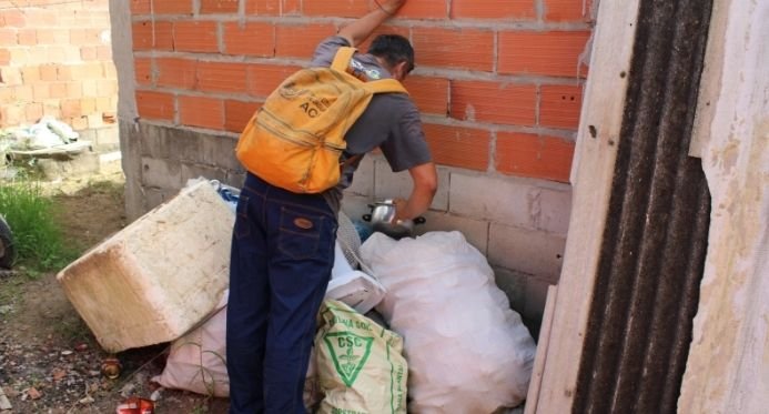 Jaguaré Records 227 confirmou casos de Chikungunya em 2025 e emitiu um aviso para a população
