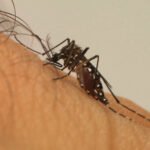 A prefeitura de Jaguaré define ações para combater a dengue e chikungunya