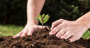 Avanços do governo do estado em políticas ambientais inovadoras e sustentáveis