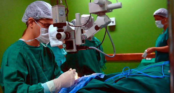 O câncer intestino, que vitimou a preta Gil, é o terceiro mais comum no país