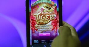 As cervejas discutem os riscos das redes sociais e jogos de apostas para jovens
