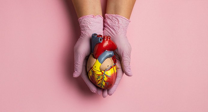 Coração em cheque: as doenças cardiovasculares matam 400 mil brasileiros por ano