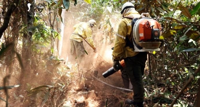 Burns tem uma queda histórica e atinge o nível mais baixo em agosto desde 1998