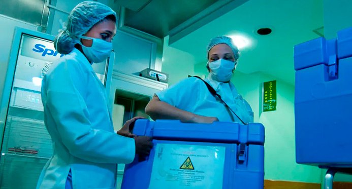 Doação de órgãos: Espírito Santo realiza 317 transplantes na primeira metade de 2025