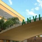 Anvisa restringe venda de azeite, sal do Himalaia e ‘chá milagroso’; Confira