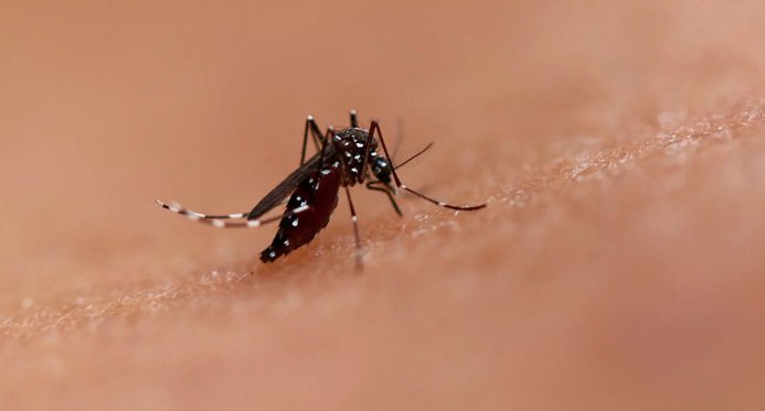 Municípios capixabas realizarão Dia D contra arboviroses neste sábado (06)