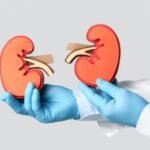 Dia Mundial do Rim: Doença renal atinge 315 mil capixabas; veja onde fazer exames e consultas pelo SUS no ES