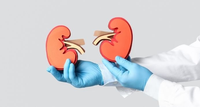 Dia Mundial do Rim: Doença renal atinge 315 mil capixabas; veja onde fazer exames e consultas pelo SUS no ES