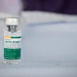 Vacina brasileira contra dengue permanece eficaz por até 5 anos