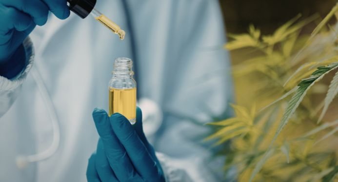 ES regulamenta oferta gratuita de medicamentos à base de cannabis pelo SUS