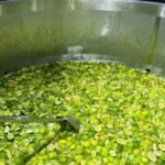 São Roque do Canaã desafia o próprio recorde e prepara caipirinha de 1.500 litros – Em Dia ES