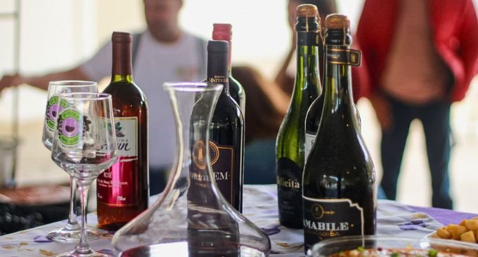 Festa do Vinho e da Uva tem entrada gratuita e distribui 250 litros de suco em Santa Teresa – Em Dia ES
