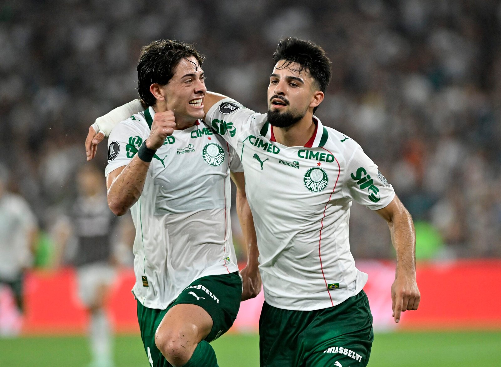 Palmeiras é o futebol enquanto máquina