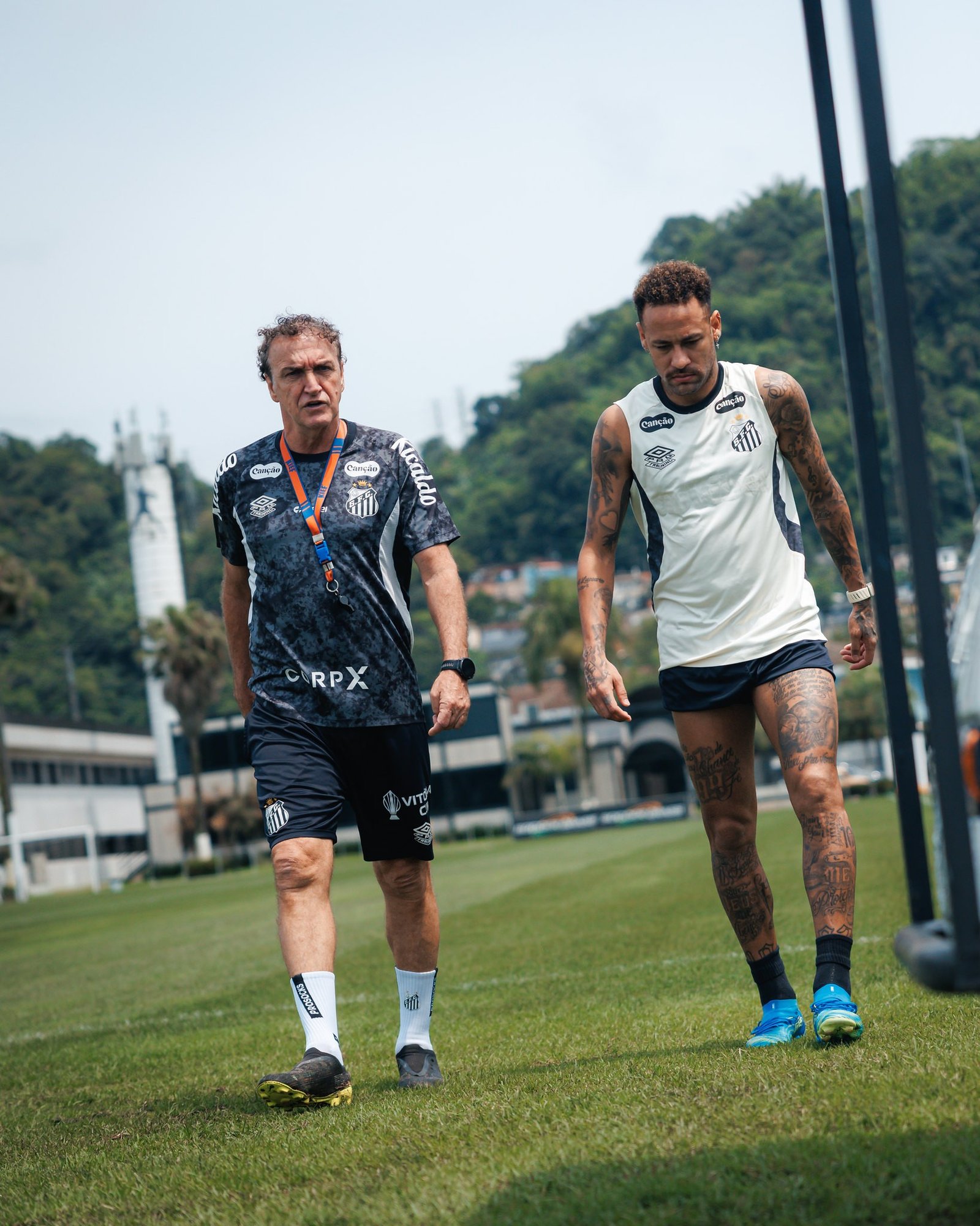 Projeto Libertadores: o que o Santos precisa para se classificar
