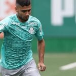 Palmeiras leva vantagem na história sobre o Bahia