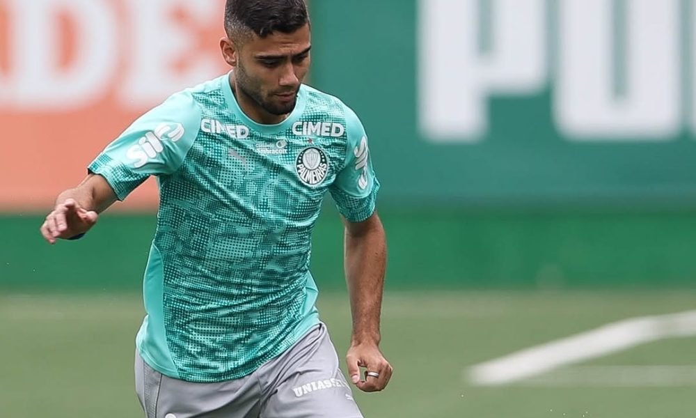 Palmeiras leva vantagem na história sobre o Bahia