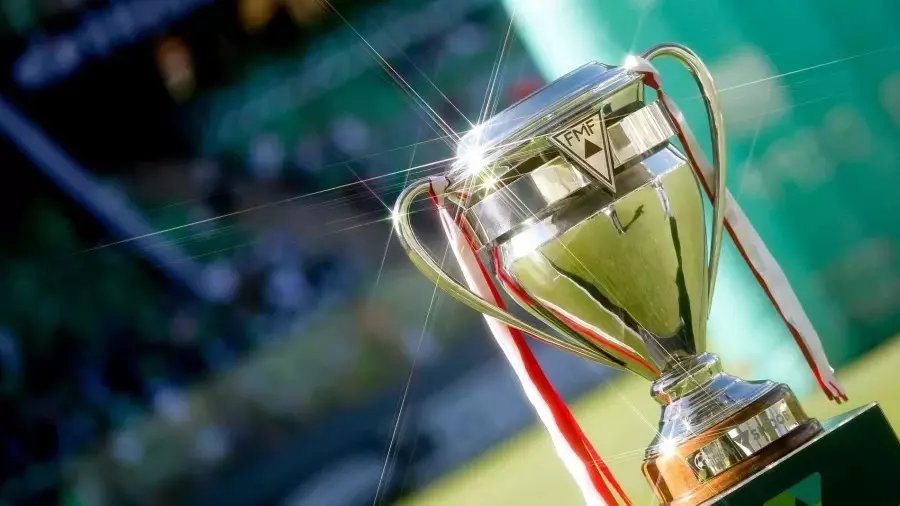 Campeonato Mineiro Foto: Divulgação/FMF