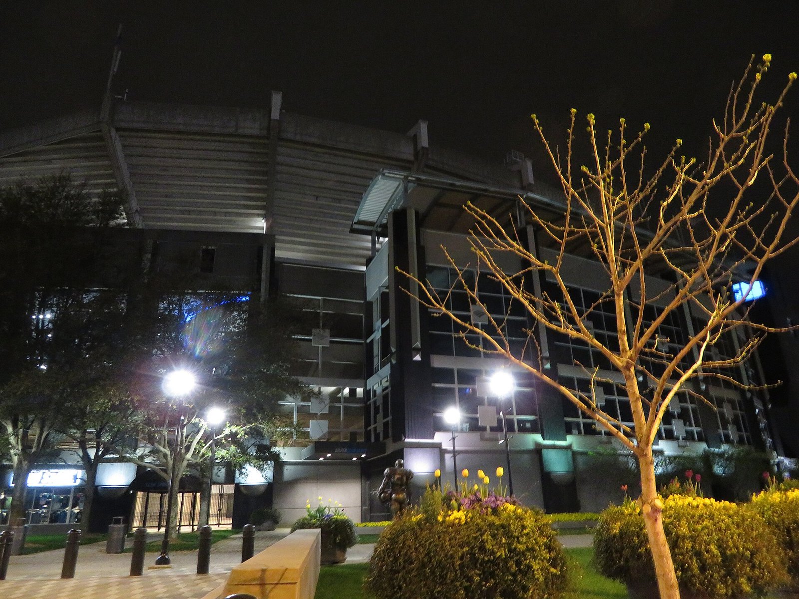 Bank of America Stadium, Charlotte, North Carolina