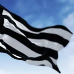 Cidinho cobra R$ 9,9 milhões do Botafogo