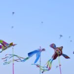 Pipas coloridas em formato de pássaros voando no céu azul