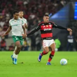 Brasileirão 2026: Flamengo vê Palmeiras se aproximar na briga pelo título