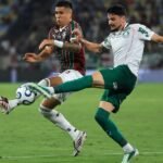Palmeiras recebe o Fluminense e luta pela vaga na final da Libertadores