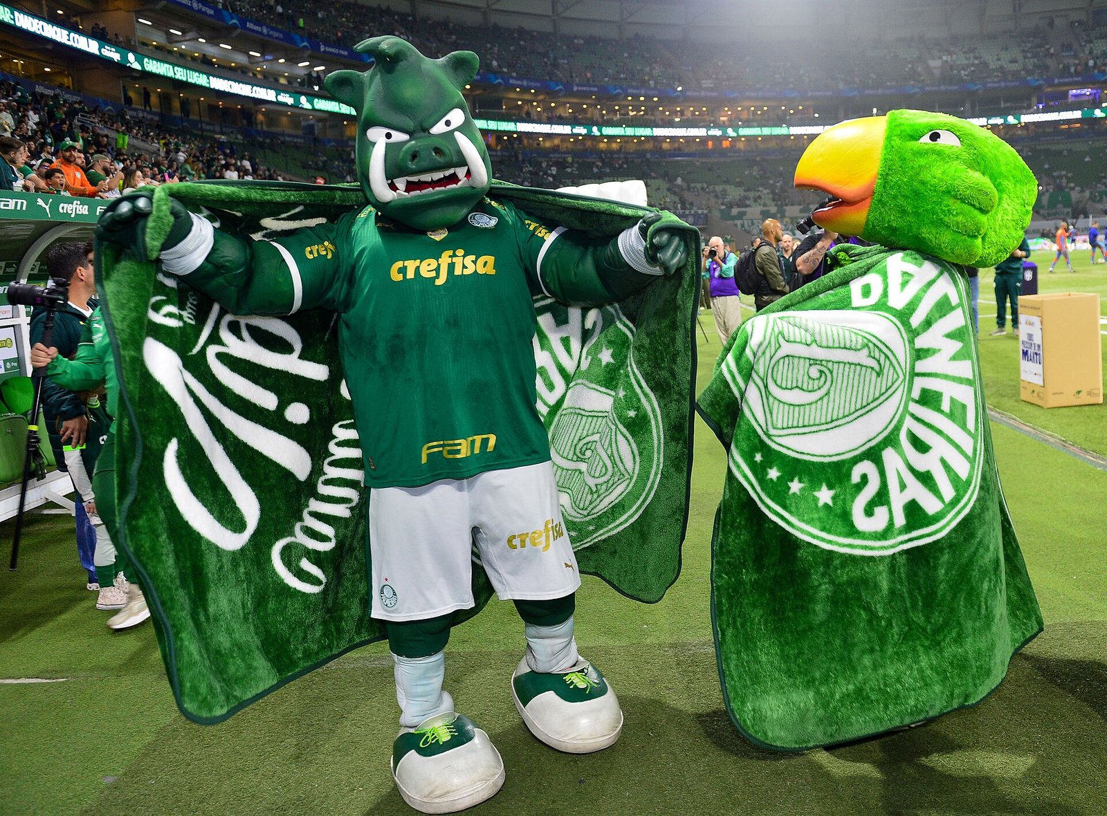 "Todos Precisam de um Manto" do Fundo Social de SP durante o jogo Palmeiras x Cruzeiro