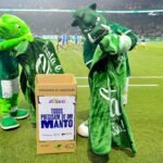 "Todos Precisam de um Manto" do Fundo Social de SP durante o jogo Palmeiras x Cruzeiro