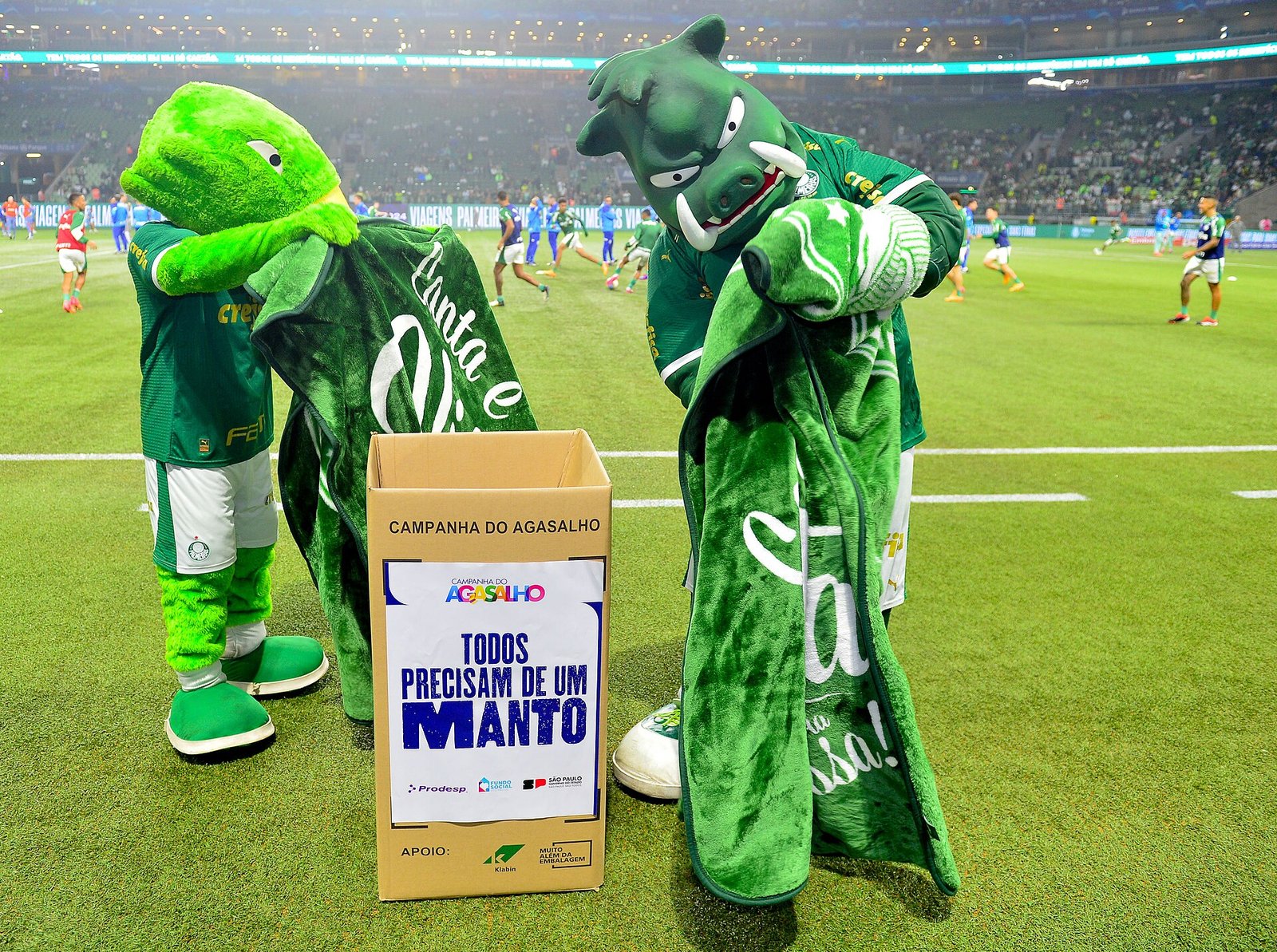 "Todos Precisam de um Manto" do Fundo Social de SP durante o jogo Palmeiras x Cruzeiro