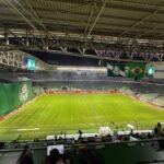 Palmeiras x Fluminense: onde assistir ao vivo, horário e escalações